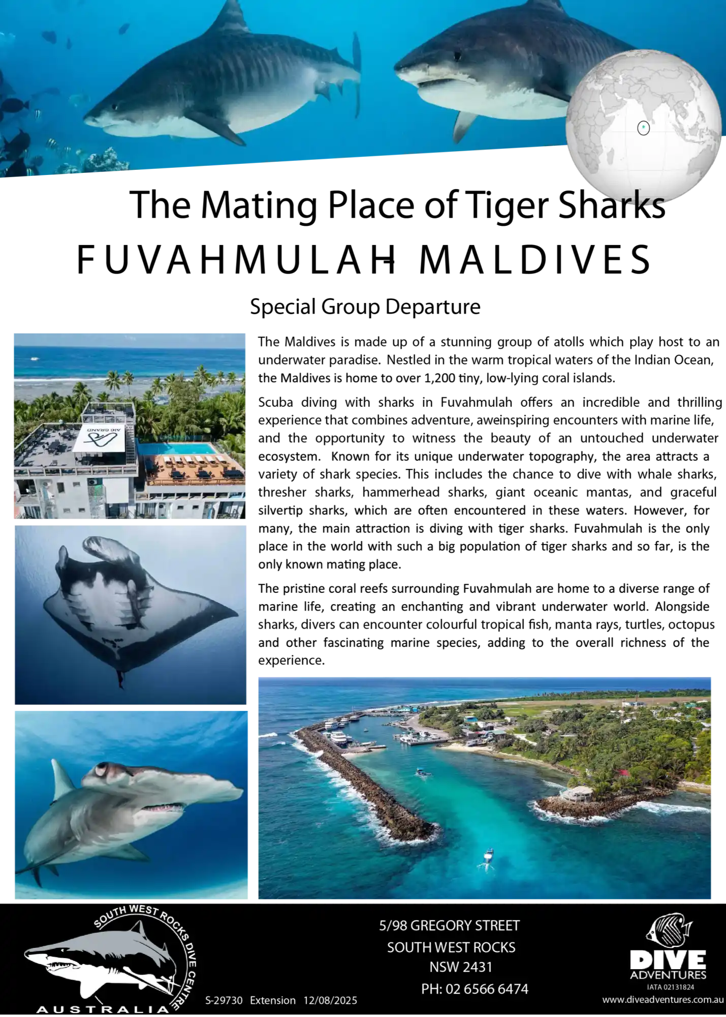 A dive center advertisement featuring various marine life and coastal views.