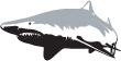 swrdive.com.au