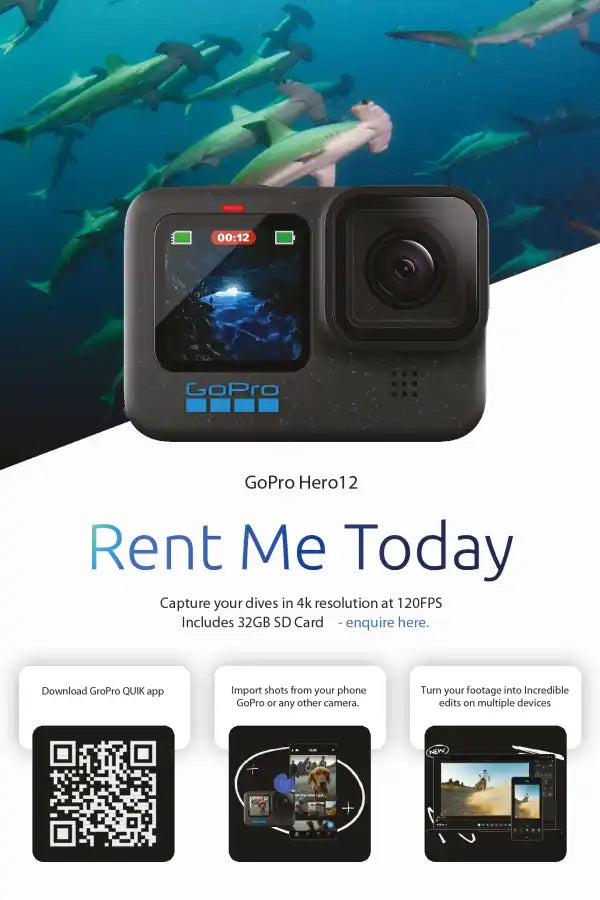 GoPro Hero12 action camera with dual LCD screens and a black housing.