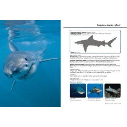 Marine Species Guide - BOOKS